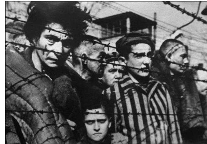 Faire ressembler Gaza à Auschwitz
