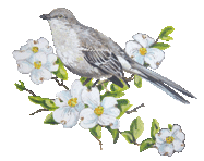 Le printemps de "l'aubépine" ...