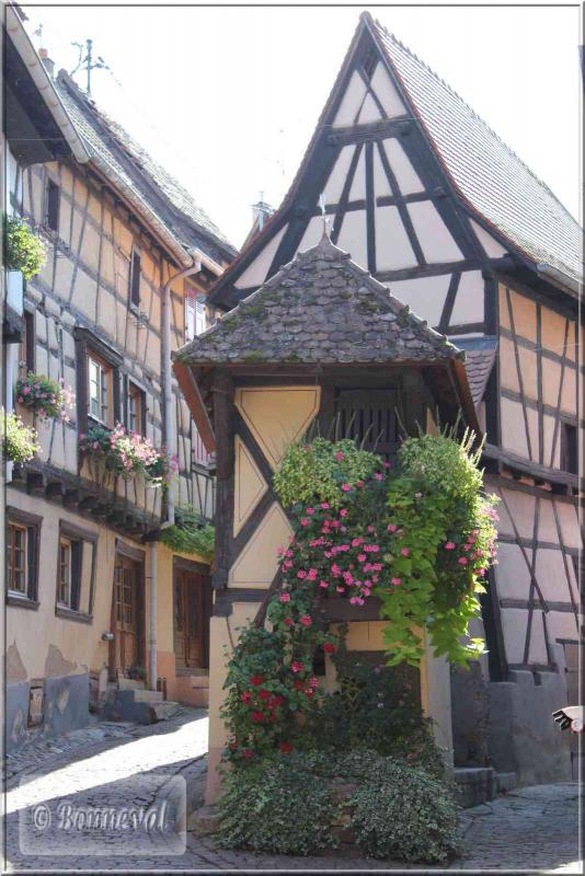 Alsace Haut-Rhin Route des Vins Eguisheim le Pigeonnier