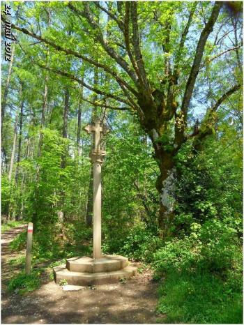 (J50) Zubiri / Roncevalles 24 mai 2012 (2)