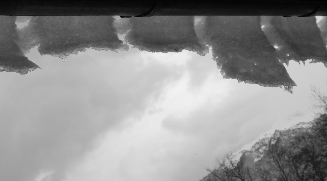 UN TEMPS DE SAISON JANVIER 23