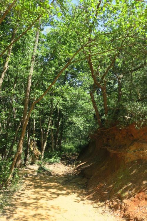 Visite du Colorado Provençal à Rustrel