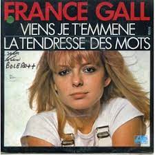 LES DISQUES