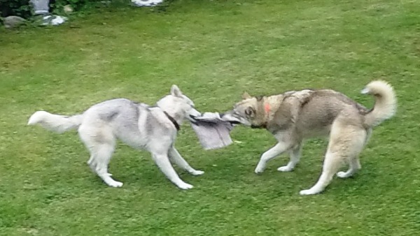 Visite chez Jasper (10 mois)