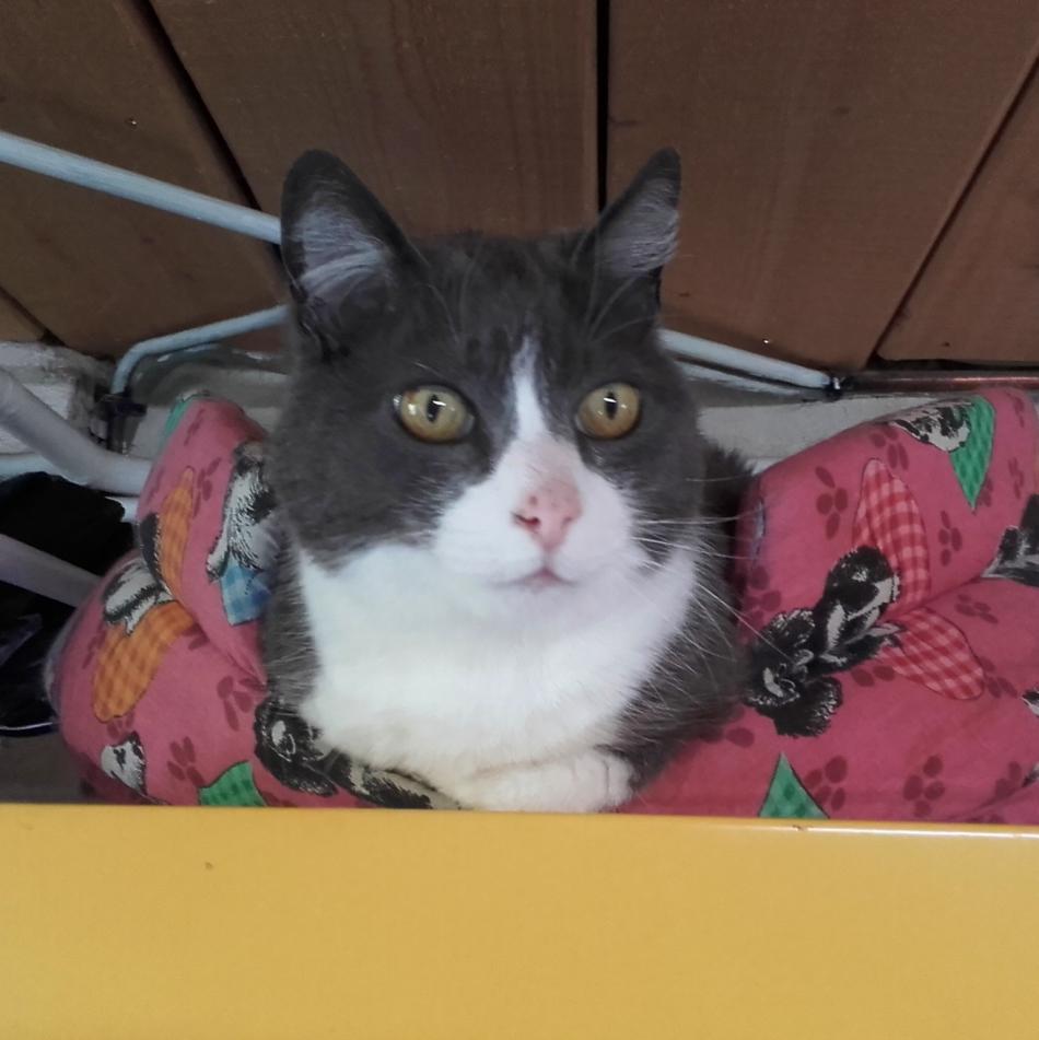  chacun sa fête 