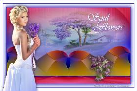 Soul of Flowers