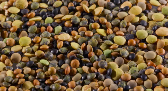 Légumes du mois de Juillet