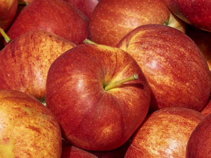 Fruits du mois d'Octobre