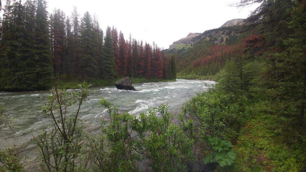 2019 summer vacation: Day twelve - From Edmonton to Jasper