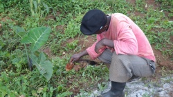 des efforts des efforts 