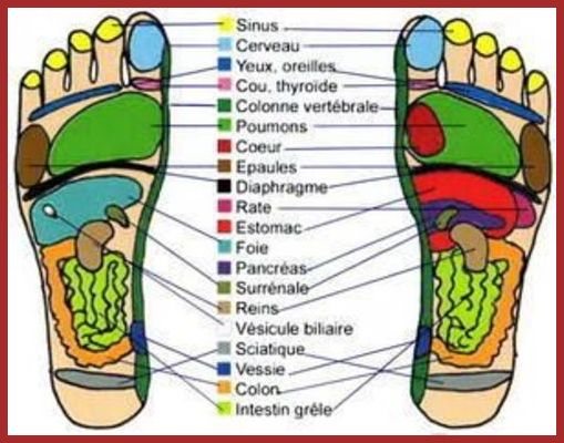 REFLEXOLOGIE