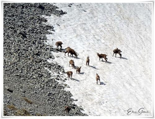 A la recherche du naturel.