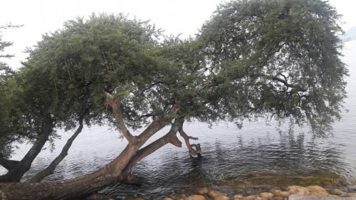 Derniers jours de Chan à Gisenyi et au Rwanda