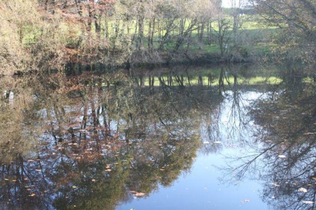 jardin à St Urbain 012