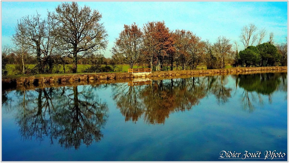85 . Vendée - La Chaize le Vicomte (26) - Etang communal