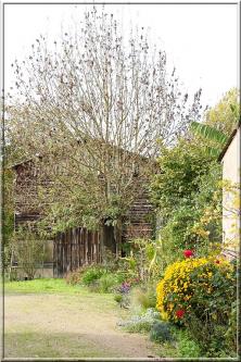 975 - Du Pays de Gâtine à la Loire : l’île de Béhuard