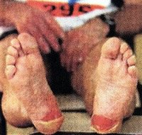 J'ai mis les pieds au Paradis