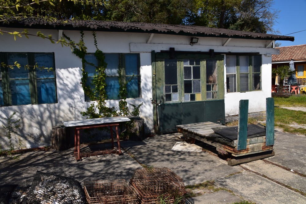 La petite cabane verte de Jane de Boy...