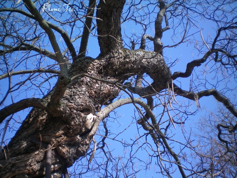 Image016.jpg