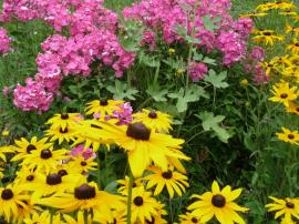 Méli mélo de juillet 