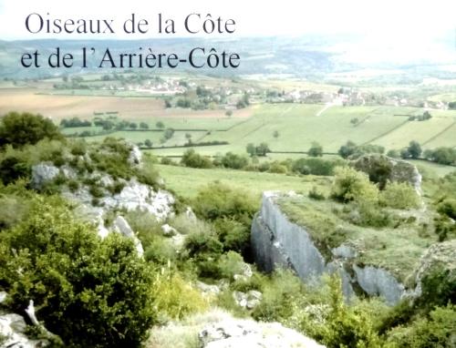 "Portraits d' oiseaux de Côte d'Or",  une conférence de la LPO à Laignes