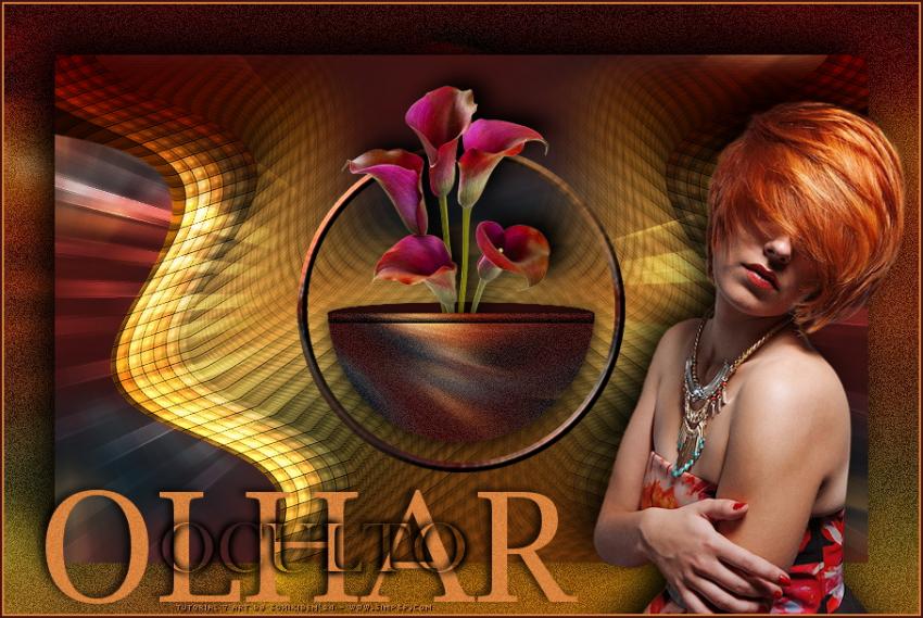 Olhar Oculto