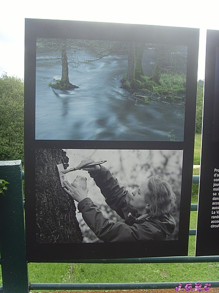 PHOTOs-PEUPLES---NATURE-2010-LA-GACILLY-022.jpg