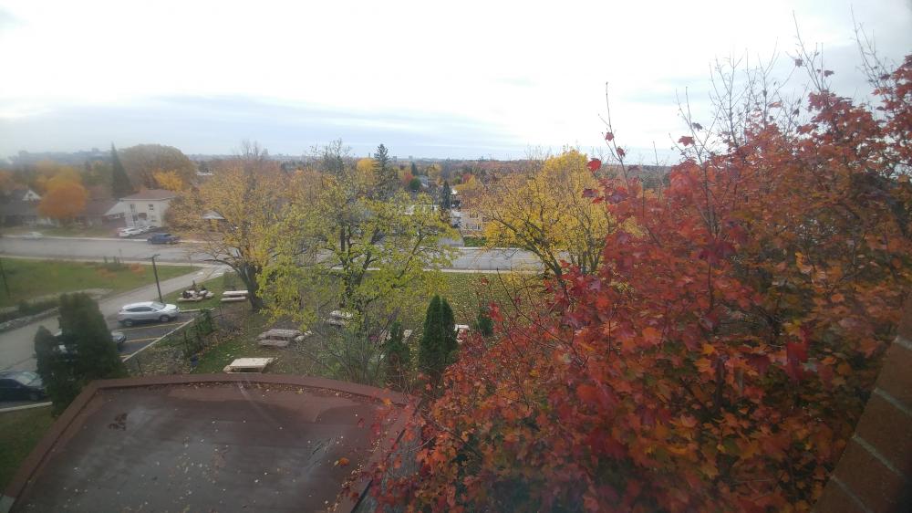 Indian summer in Gatineau