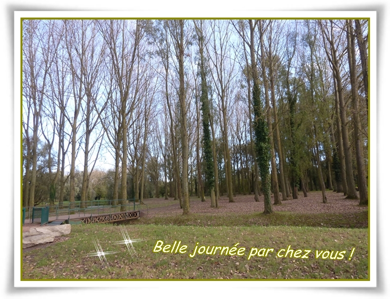 En route pour une bonne marche ....