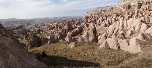 Retournons voir si la Rose...