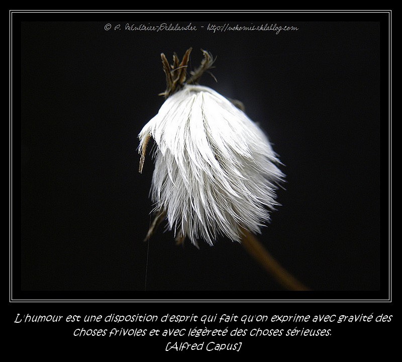 Légèreté...