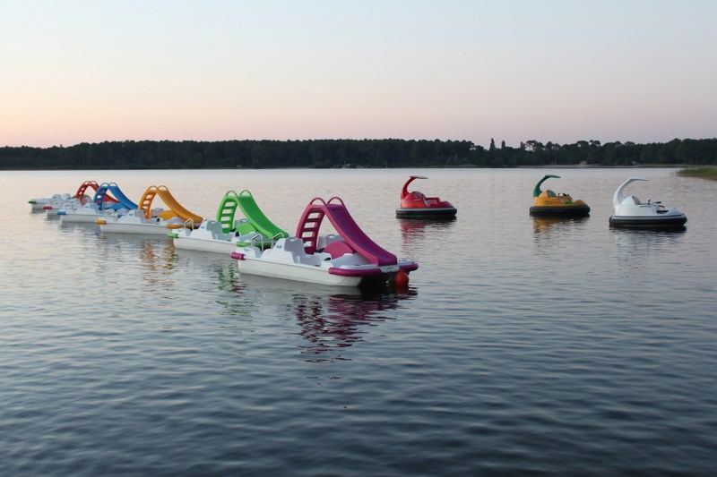 811 - Arrêt sur images au Lac de Cazaux-Sanguinet (40)