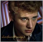 Fond ecran johnny hallyday003