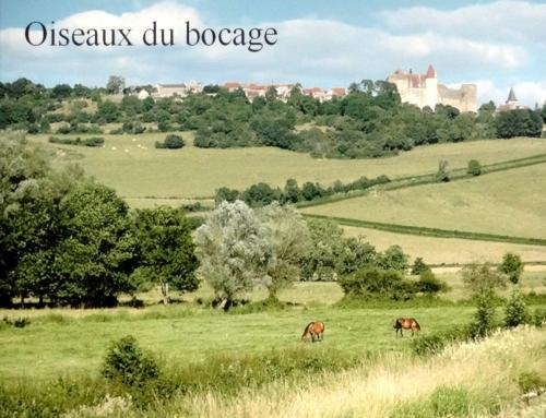 "Portraits d' oiseaux de Côte d'Or",  une conférence de la LPO à Laignes