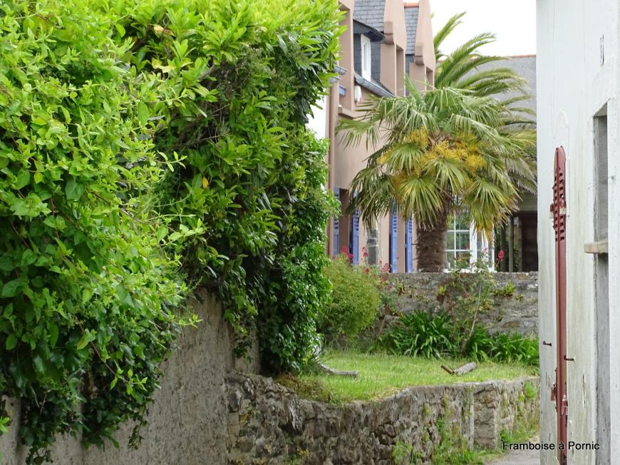 Morgat - Finistère - Mai 2019 