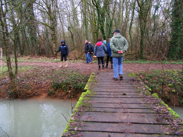Une belle sortie de la Société Mycologique au bord de l'étang de Marcenay, à la recherche de pézizes et autres beaux champignons