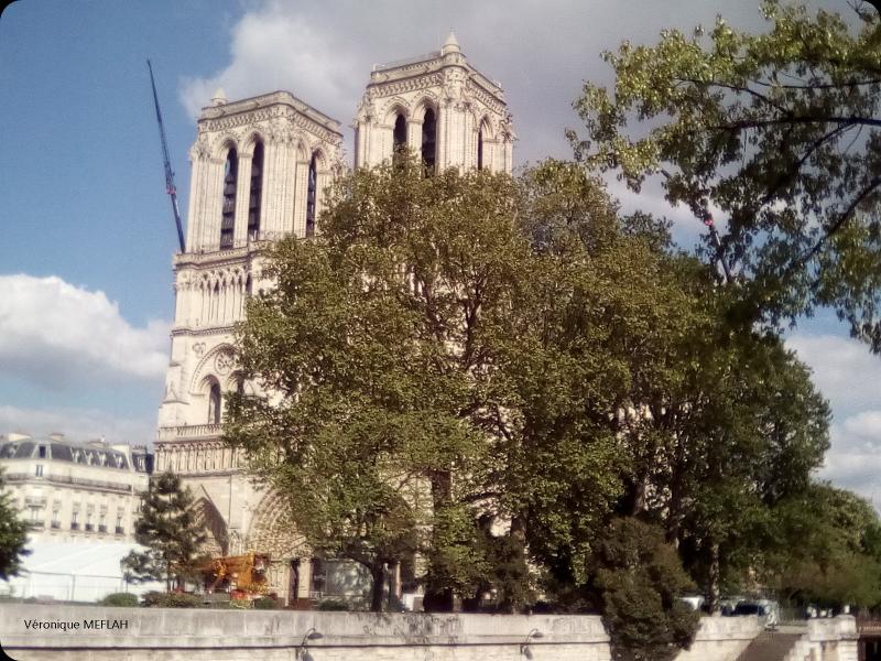 Notre-Dame de Paris : Quelques clichés ... 