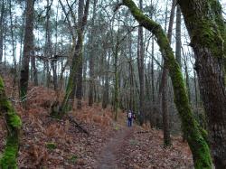 CR / RANDO 15 / ST-MEDARD-EN-JALLES