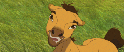 Spirit ♥ ^_^ (suite)