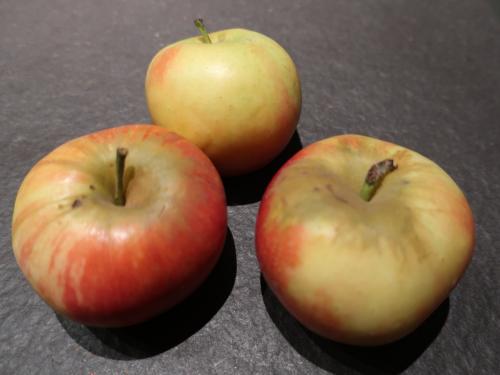 Mon gâteau yaourt-pommes