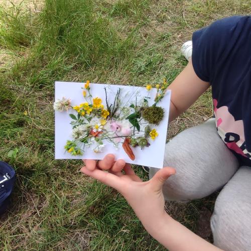 carte postale herbier 