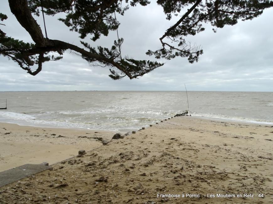 Petite balade sur le littoral aux Moutiers en retz 