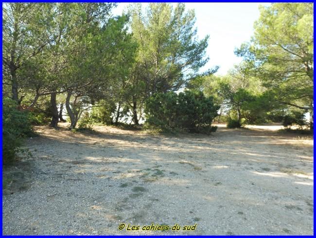 Collines de Pagnol, col de Garlaban