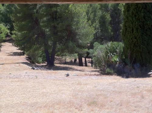 Un nouveau lotissement dans les cartons au Pont de l'Arc