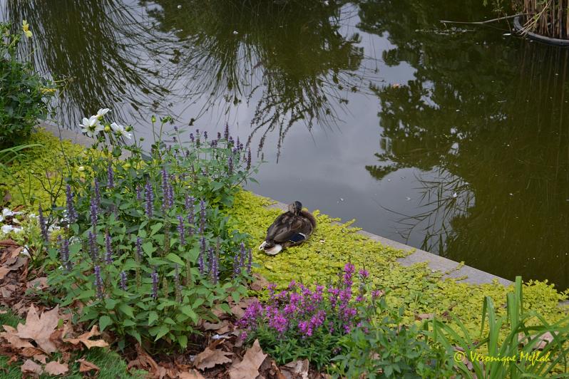  Le Jardin des Tuileries, 1er arrondissement