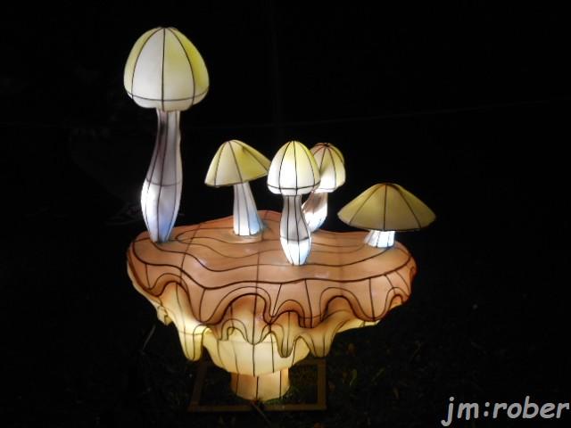 Limoges : L'odyssée lumineuse (3) et fin