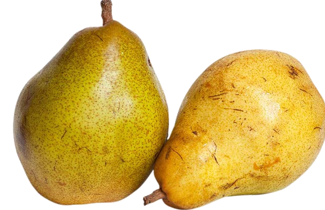 Fruits du mois d'Octobre