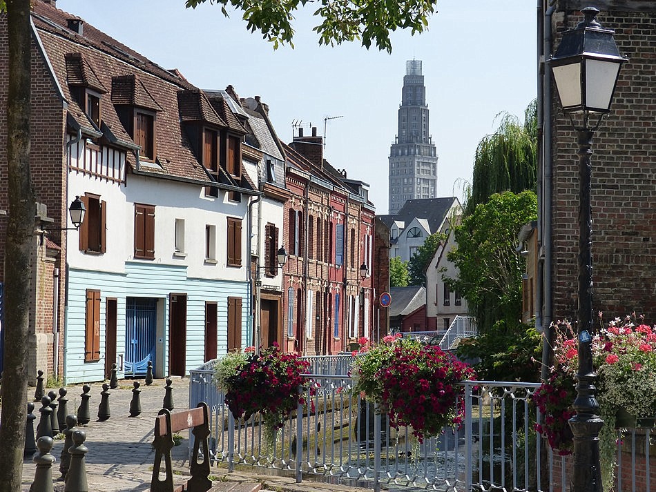 Ce soir, sur M6 "La rue des Allocs"