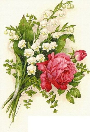 Image004.jpg