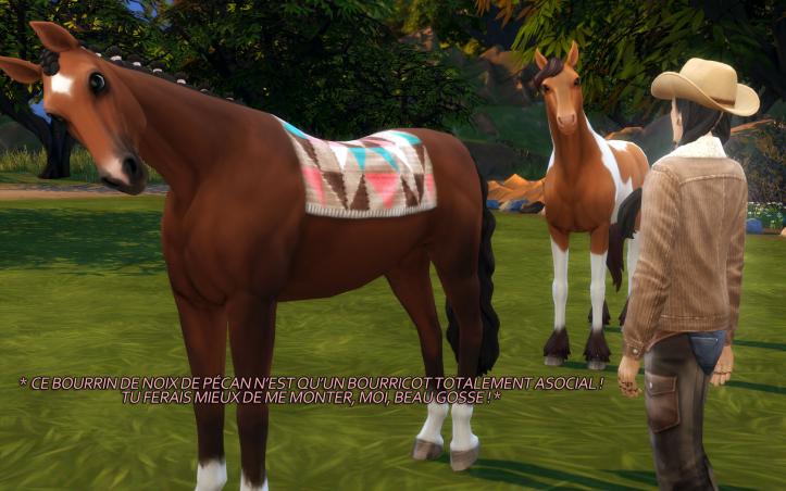 [Vie au ranch] Célian apprend à faire du cheval #2